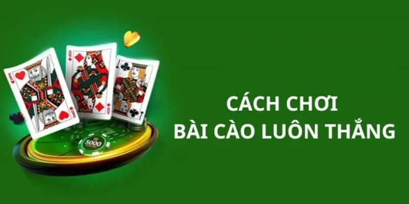 Cách đánh bài cào 9 nút chuẩn nhất hiện nay